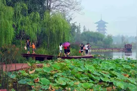 走在前，挑大梁，解码高质量发展高效能治理的潍坊路径图片