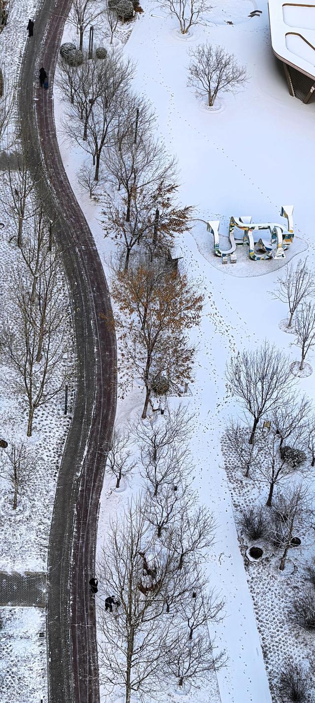 雪后的大运河森林公园，活力满满