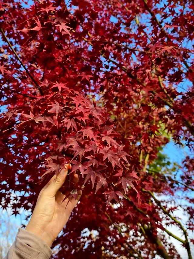 坐上“宝藏公交”，穿越赣鄱的诗意与烟火！