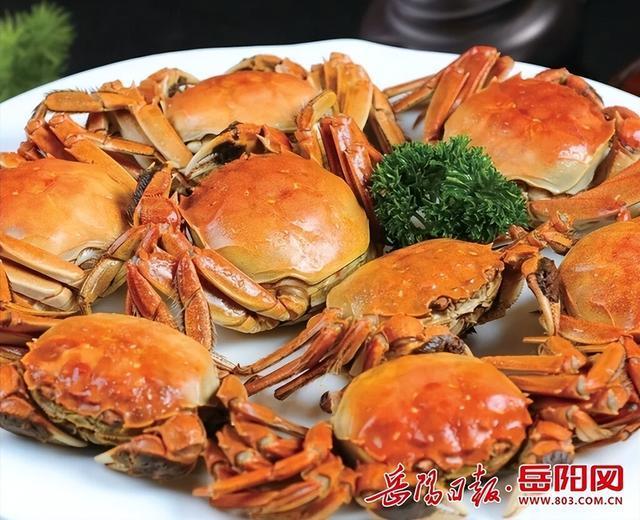 浓情九月相约湘阴！这份游玩攻略请收好
