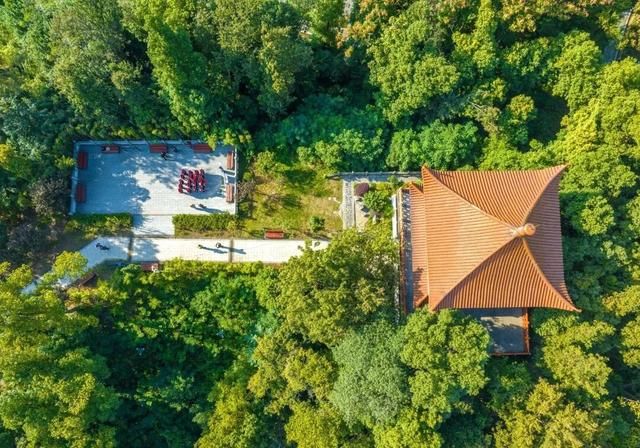 大武汉一日 | 武汉这个博物馆，有了新玩法