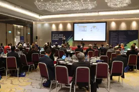 中欧探讨青年科学家创新合作新机遇图片