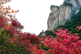 麻城错峰赏花2日游 让旅途更轻松！图片