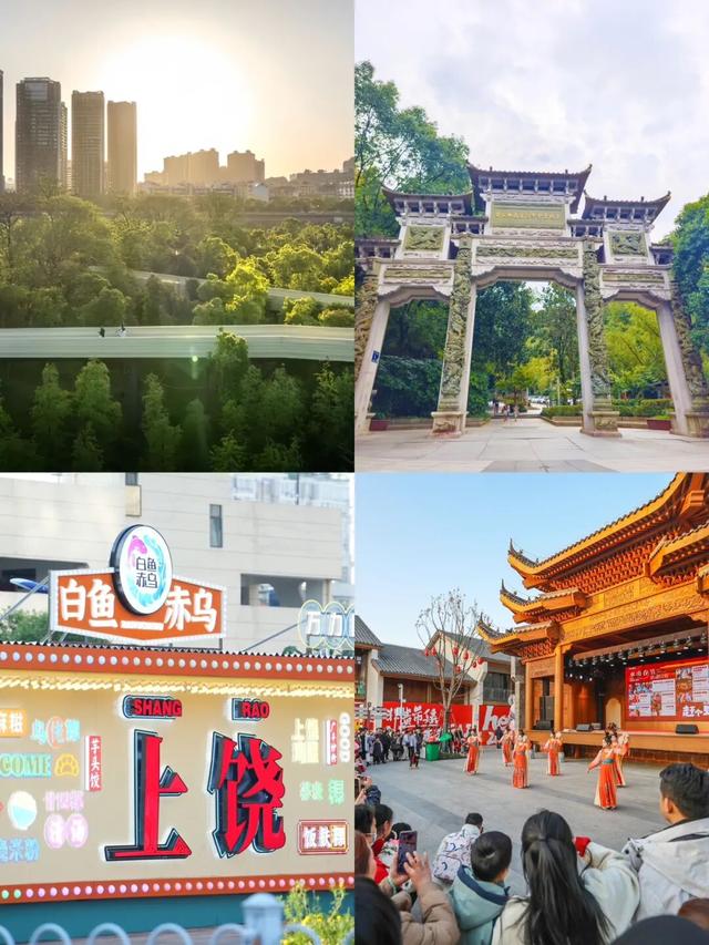 烟火不远，森林很近！在上饶云碧峰，找到一处“森呼吸”的栖息地