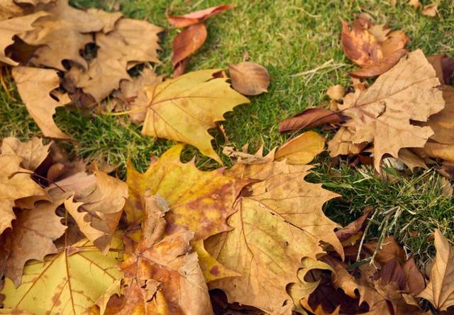 藏在乳山各处的温柔｜这些公园，让心情慢下来