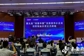 签约1.6亿！第八届“创客中国”安徽省中小企业创新创业大赛颁奖暨第九届大赛启动仪式举办图片
