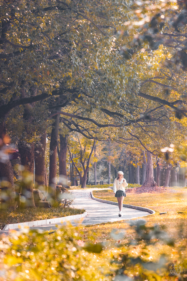 天晴了，去落雁过秋天！