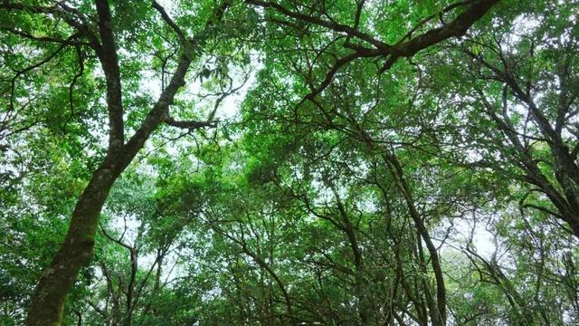 去寻甸玩一天！本地人力荐了这些宝藏打卡地→