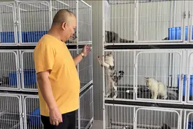 云浮车岗“宠物经济”助力“百千万工程”图片