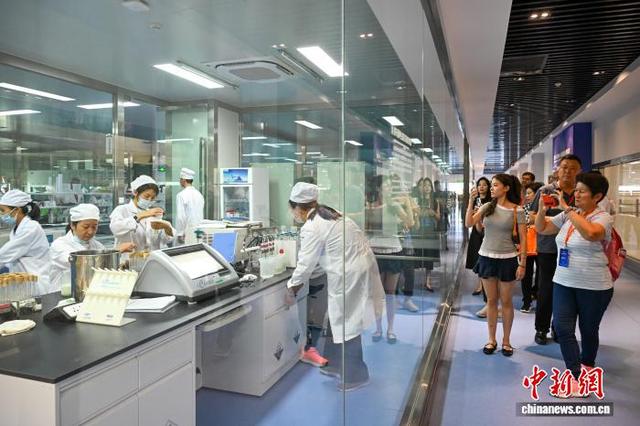海外同乡共聚云南：铭记历史 感受多元与开放之美