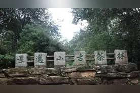 在景迈山寻找螃蟹脚图片