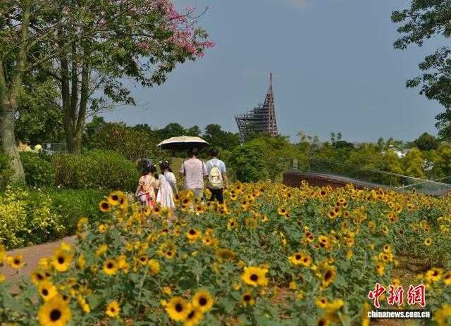广西南宁园博园花卉盛开 民众踏青赏秋景
