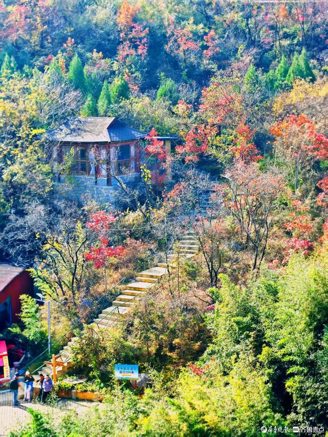 醉美深秋！济南红叶谷红叶引来大批游客