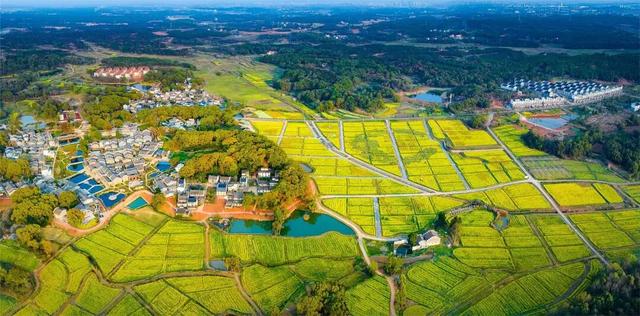 江右名镇名村行 | 吉安市吉州区兴桥镇钓源村：七星伴月 山水之乐
