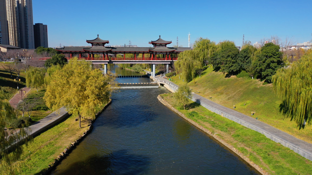 【美丽瀍河】醉美冬韵！快来瀍河感受冬日美好