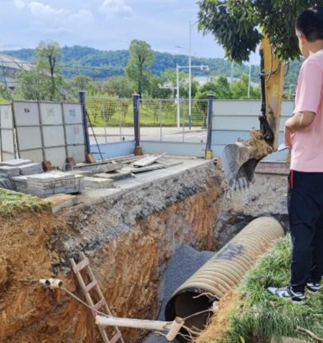 湖南“竹”够硬核 3项科技成果入选“以竹代塑”重点推广名录
