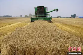“中原粮仓”河南多举措推动粮食节约和反食品浪费图片
