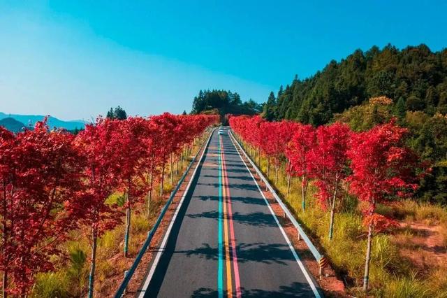 如画江西 ，“枫”景独好！