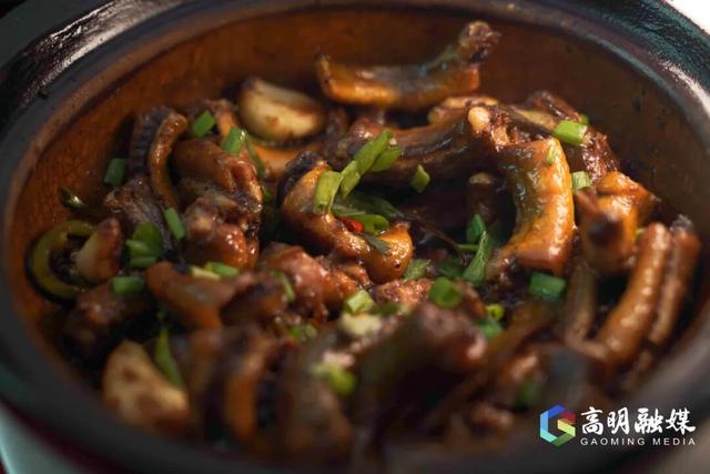 出发！跟着稻马去高明旅行！