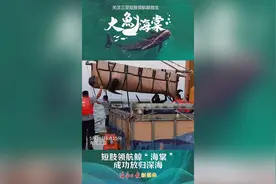 145天救助！海南这场生命奇迹背后，满是温暖与感动图片