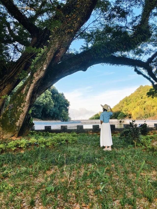 福鼎，一座为浪漫而生的城市！这些打卡地，你去过几个？