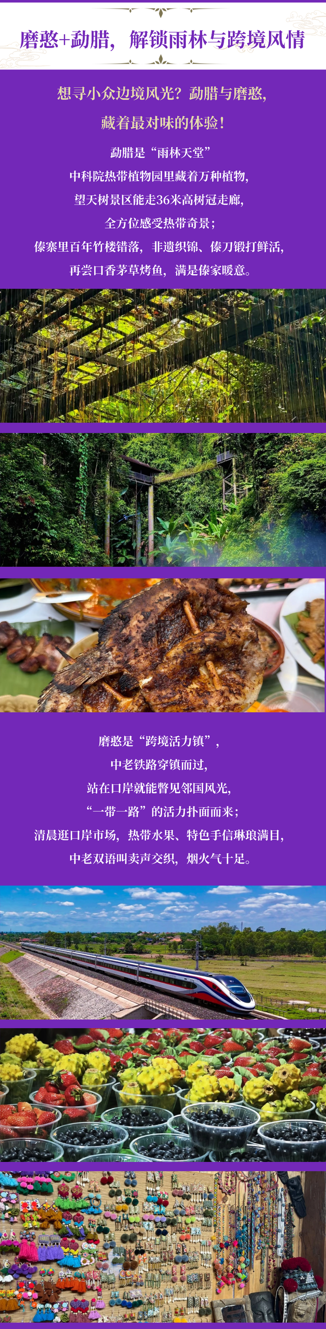 「勐腊磨憨·边境雨林跑游专属包」：跑着玩才够味，解锁不一样的滇南风情