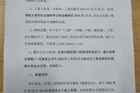 极越员工称裁员风波最新方案为赔偿N+1！人社部门驻点处理图片