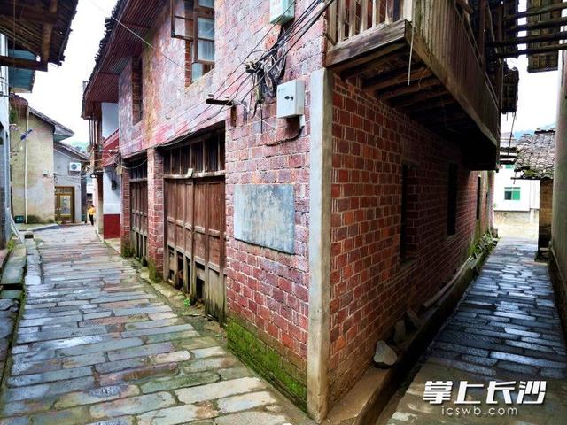 风裹竹香水带甜，在大围山寻一份盛夏清凉