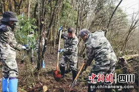 “青山公益自然守护行动”在川举行图片