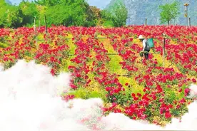 文山州以新业态激活文旅消费新动能——“世外桃源”又上新图片