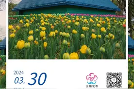 江苏省教育厅通知图片