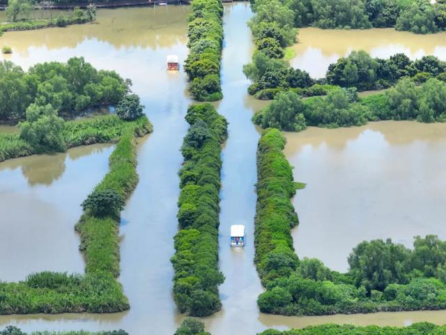 送官方周边！​凭五月天演唱会票根解锁南沙福利
