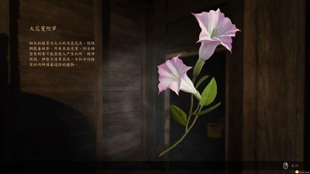 《咒》游戏攻略 全收集剧情流程攻略 恐怖游戏《咒》全攻略