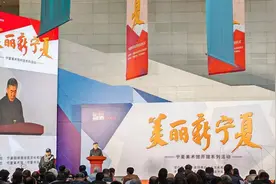 宁夏美术馆正式开馆图片