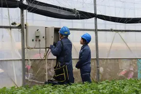 电力护航春耕 保障乡村安全用电图片