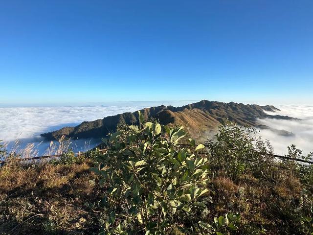 “十四五”砚山答卷 | 锚定生态优先 绘就旅游发展新图景
