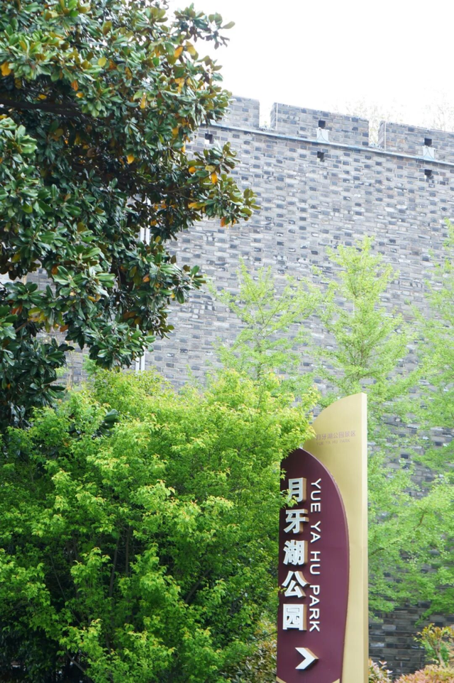 起风了！走，逛公园去！