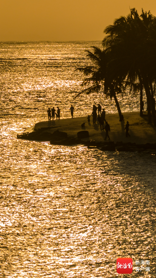 落日、渔火、海鲜宴！陵水新村渔港绝美浪漫海景引客来