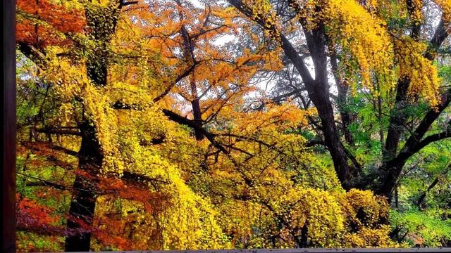 镇江，你变了！