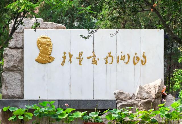 “荷”尔蒙爆表，这夏可好了！