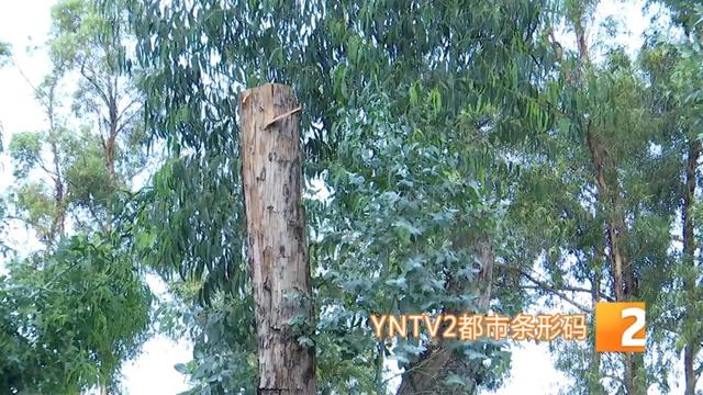 户外徒步、露营必看！防雷击保命指南，这些坑千万别踩！