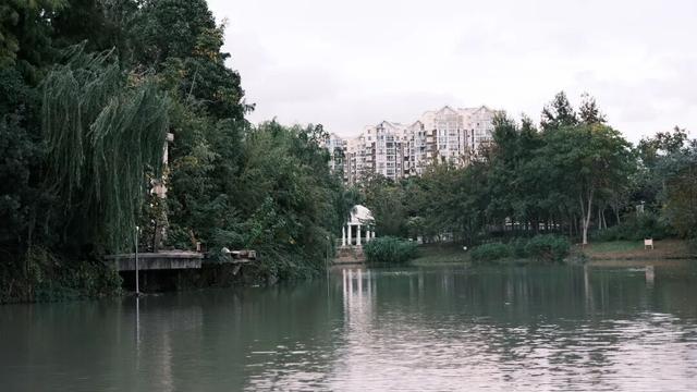 域见上海·域见奉贤｜奉浦秋日限定！这三条宝藏路线，承包所有秋日浪漫，刷爆朋友圈就靠它