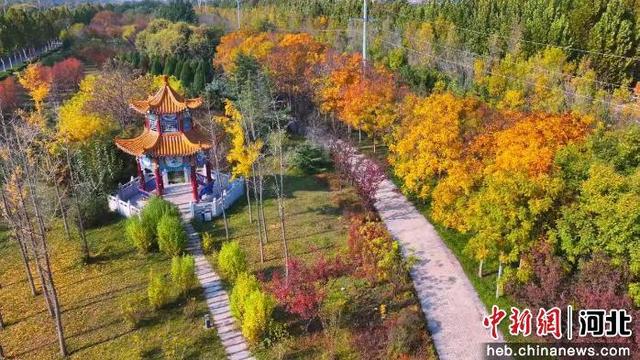 河北辛集：邂逅晚秋初冬“撞色”生态画卷