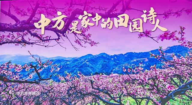 宝藏怀化藏不住了！十三位“家人”敞开怀抱邀您“归家”