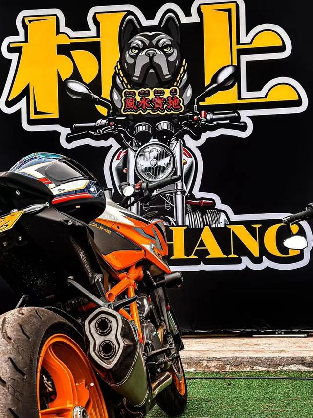 哇，青浦这条红色线路的初冬太美了~