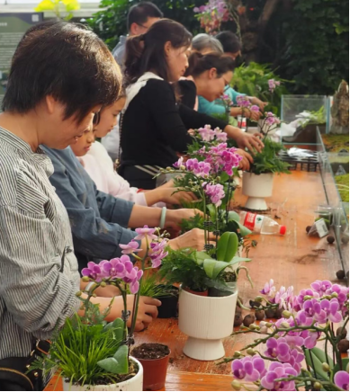 家长速看！挖薯仔、玩陶艺、手作年宵花，周末遛娃好去处藏在这