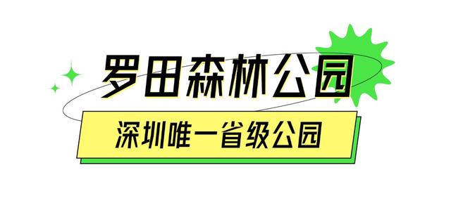我的宝藏城区：宝安十一假期打卡不完全攻略