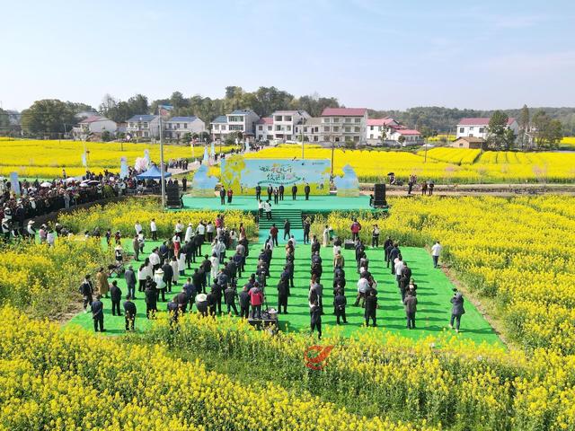 【油菜花儿开攸县等您来】攸县油菜花节在宁家坪镇开幕