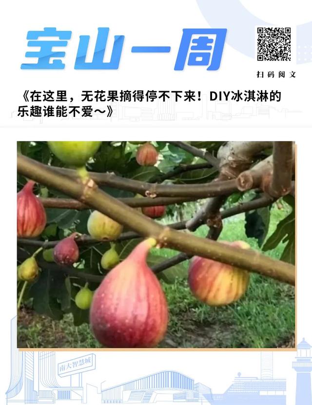 宝山一周概览｜宝山滨江180米高空新玩法，勇敢的人先赏美景！“三店齐开”激发市民消费热情……