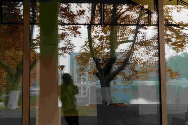 推开南开的窗，你会看到——